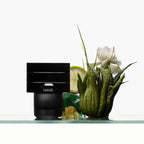 DOCUMENTS | Naive Extrait De Parfum