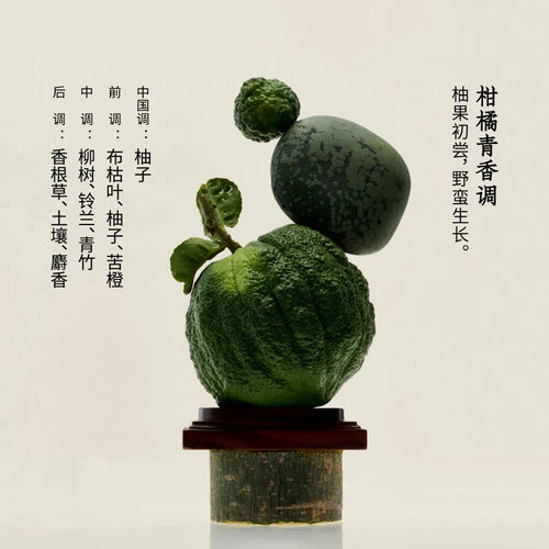 DOCUMENTS | Pomelo One Extrait De Parfum