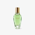 lapot studio | Moss Forest Perfume 35ml