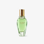 lapot studio | Moss Forest Perfume 35ml