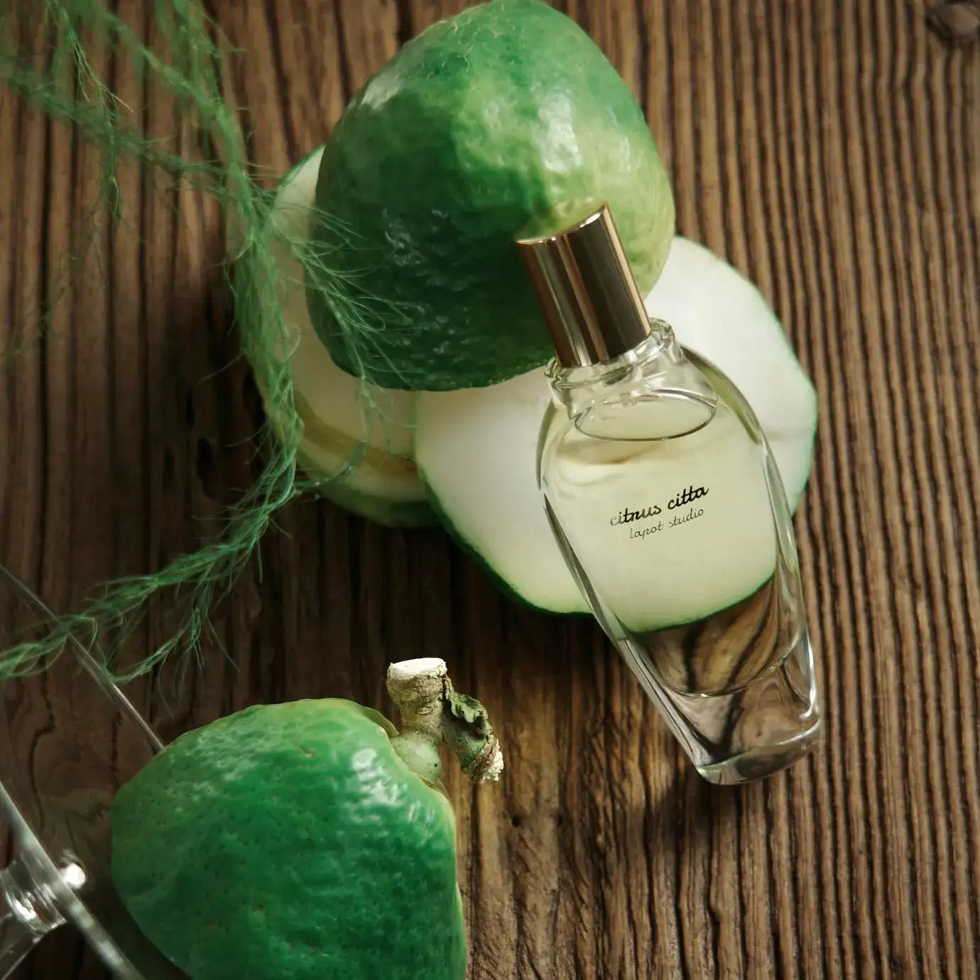 lapot studio | Citrus Citta Perfume