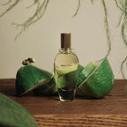lapot studio | Citrus Citta Perfume