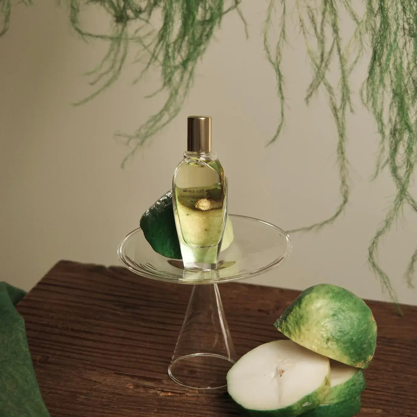 lapot studio | Citrus Citta Perfume
