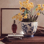 lapot studio | Dream Of Lam Yiong Perfume
