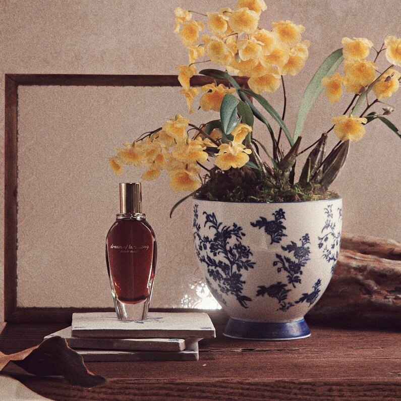 lapot studio | Dream Of Lam Yiong Perfume