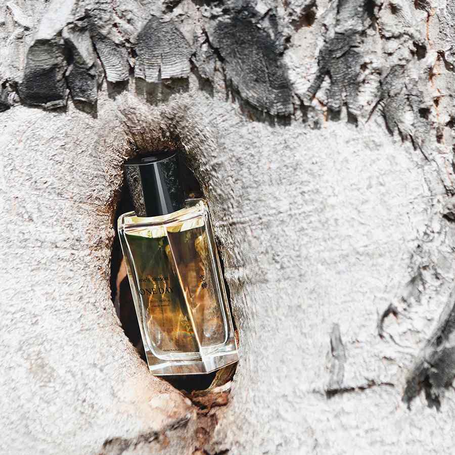 melt season | One Day Perfume