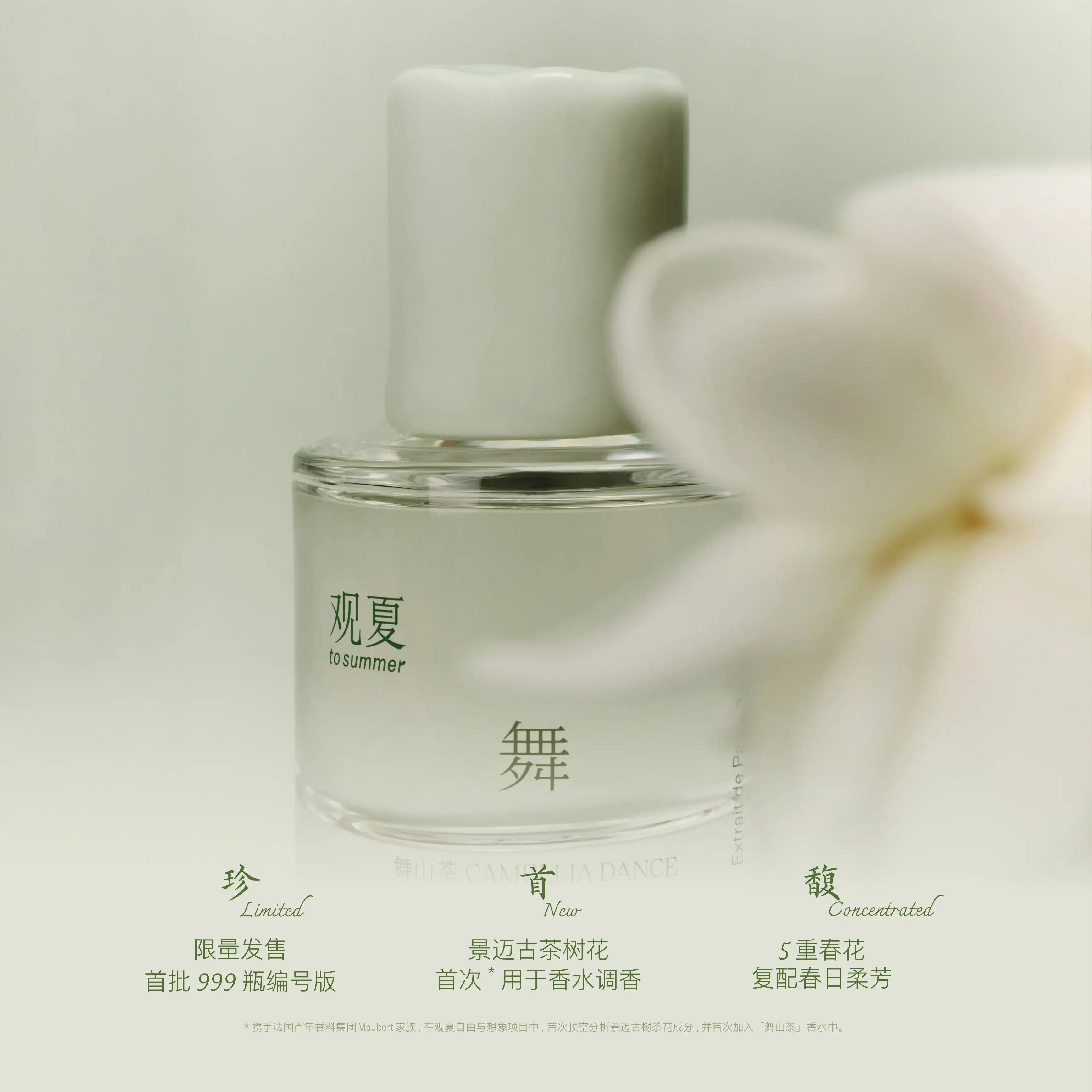 to summer | Camellia Dance Perfume
